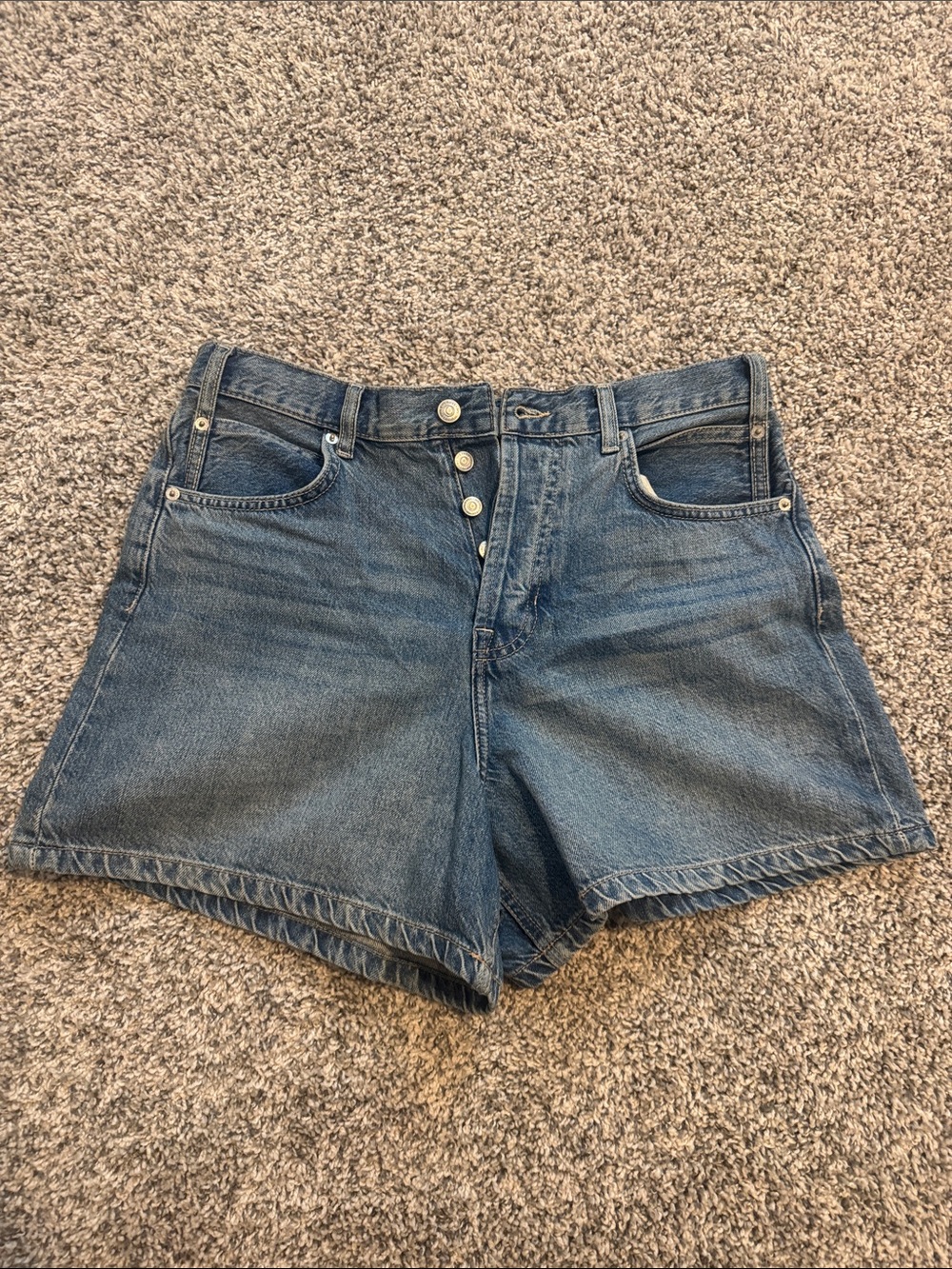 Free People We The Free Classic Blue Button-Fly Denim Shorts